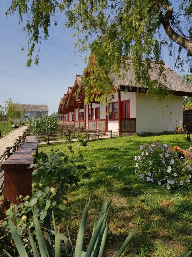 Pensiunea Clisciova Murighiol Bagian luar foto