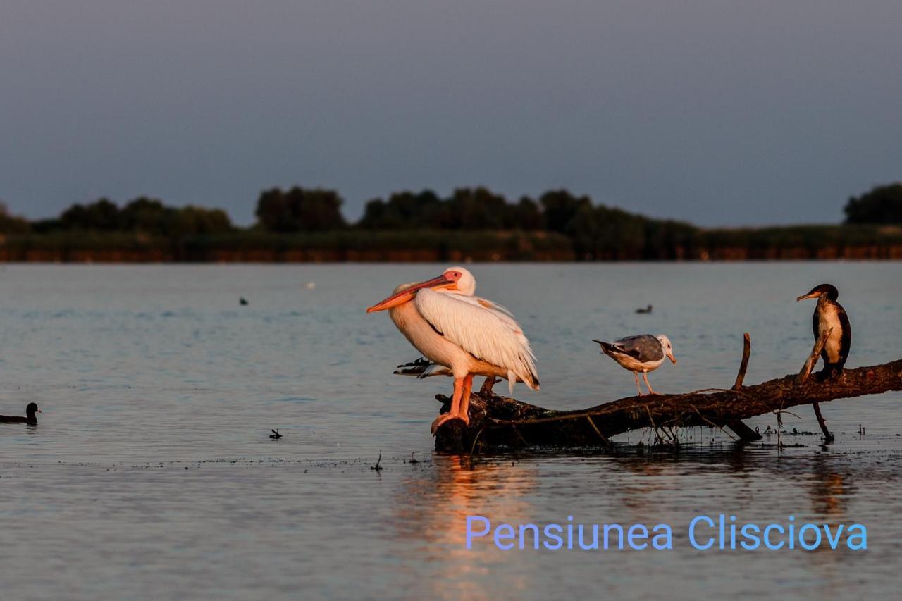 Pensiunea Clisciova Murighiol Bagian luar foto