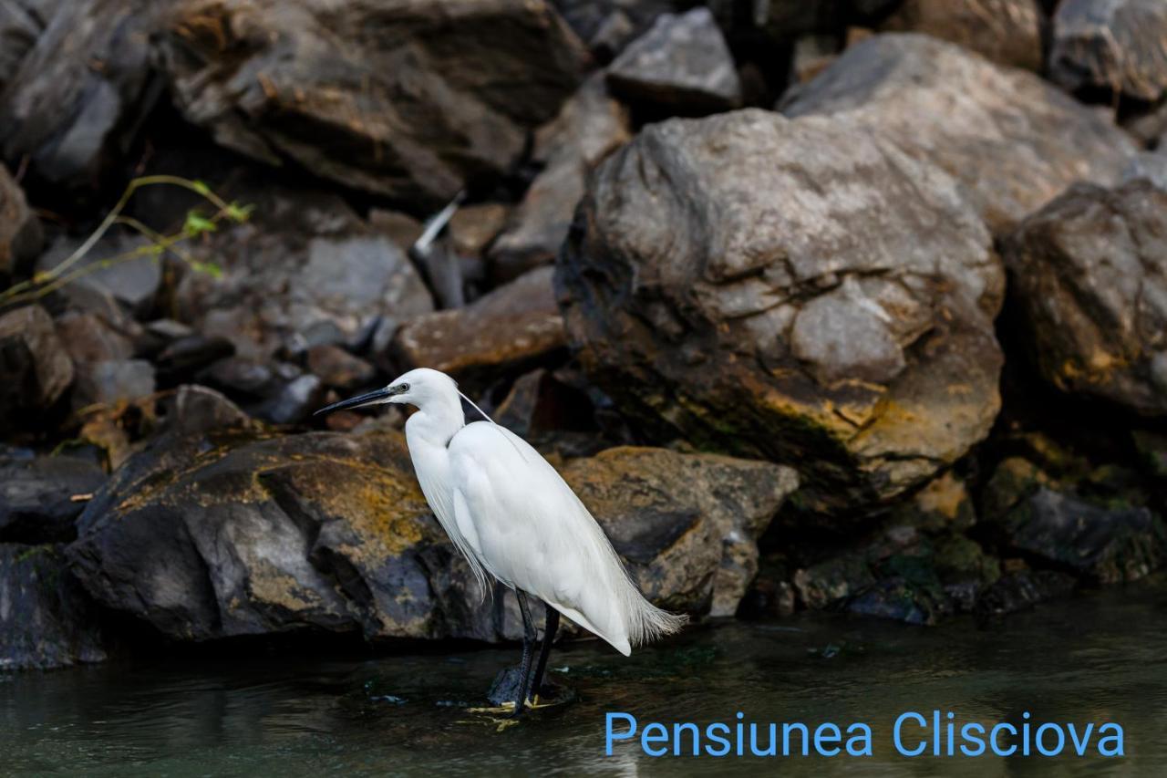 Pensiunea Clisciova Murighiol Bagian luar foto