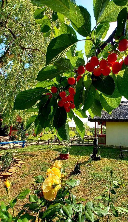 Pensiunea Clisciova Murighiol Bagian luar foto