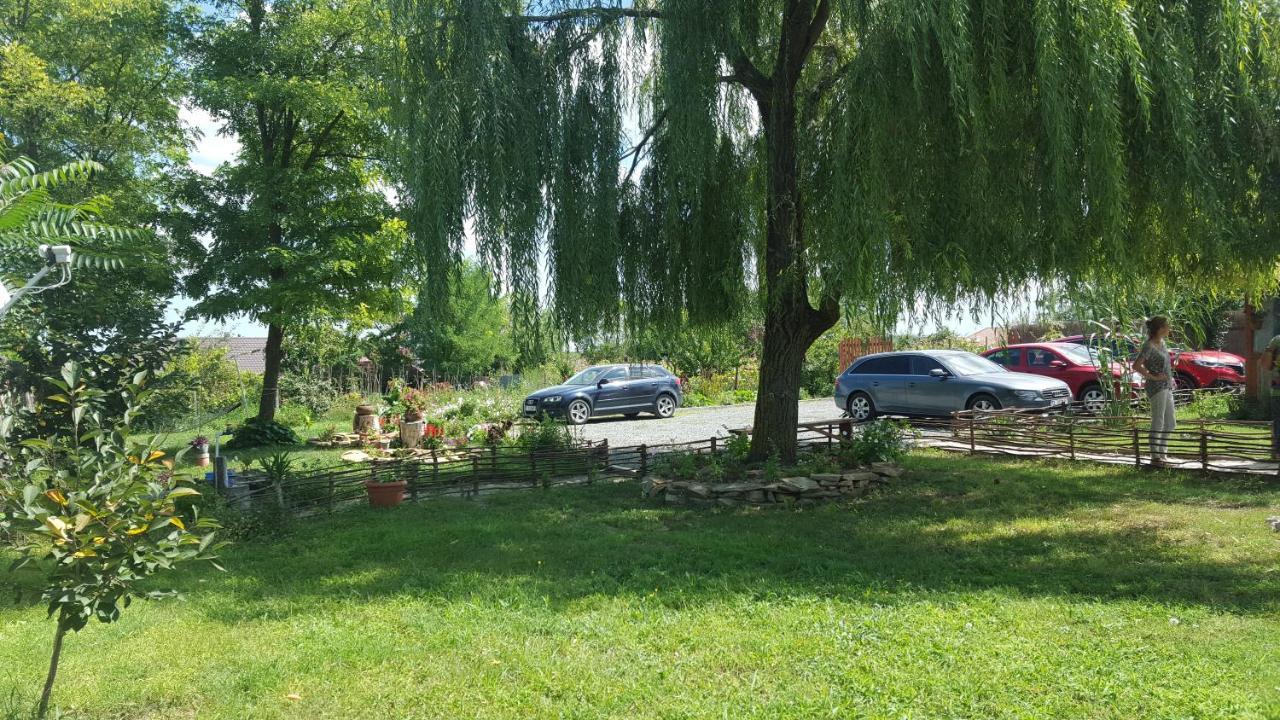 Pensiunea Clisciova Murighiol Bagian luar foto
